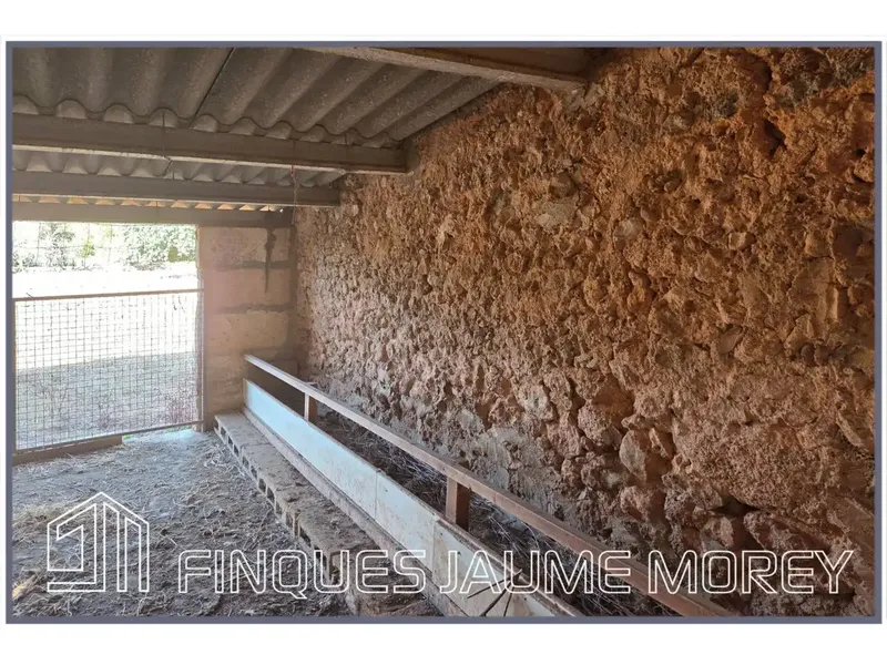 En el municipio de Búger les ofrecemos esta finca rústica de uno 8.000m2 de terreno con una edificación agraria existente de unos 240m2 apro — photo 6