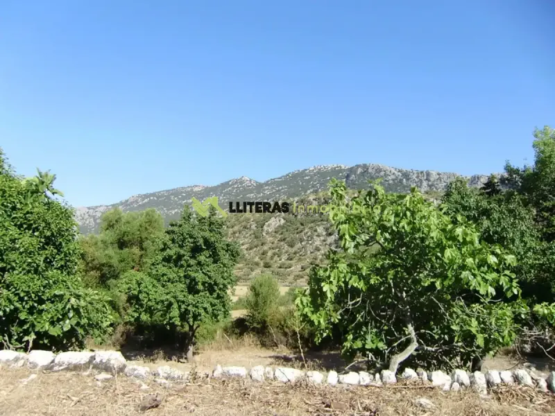 Fantastic estate in the Orient area with incredible panoramic views of the Serra de Tramuntana, located in an elevated and idyllic spot surrounded — photo 1