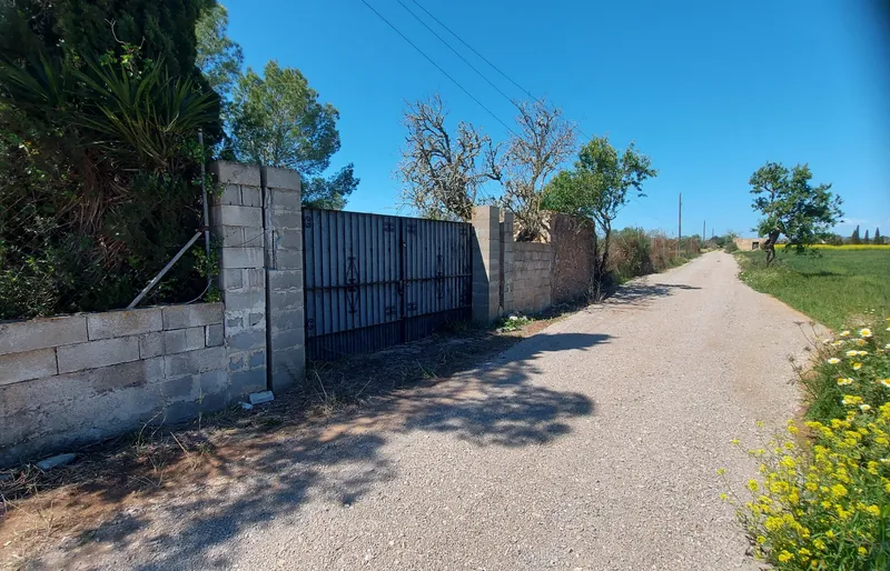 I-5037 Rustic Plot between Campos and Sa Ràpita: Nature and Privacy a Step from the Sea — photo 6