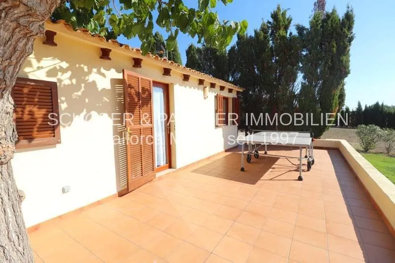 Finca mit 5 Zimmern, Pool, Meerblick & ETV Lizenz zu kaufen — photo 6
