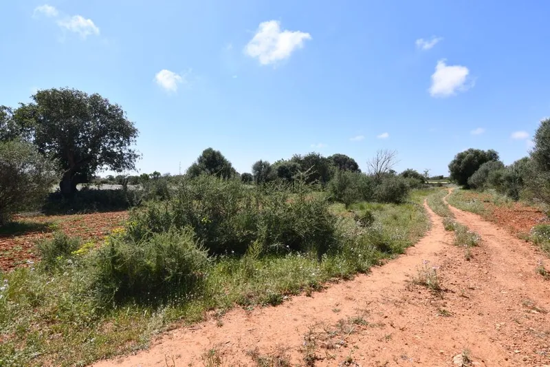 Plot land with basic project, electricity and water just 900 meters from Santanyi — photo 5