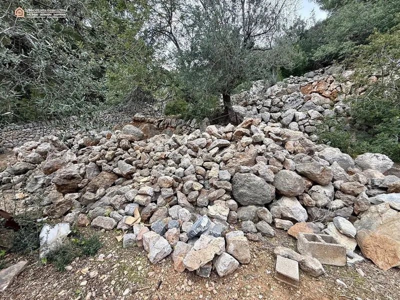 Rural or Farmhouse in Fornalutx, Province of Balearic Islands — photo 9