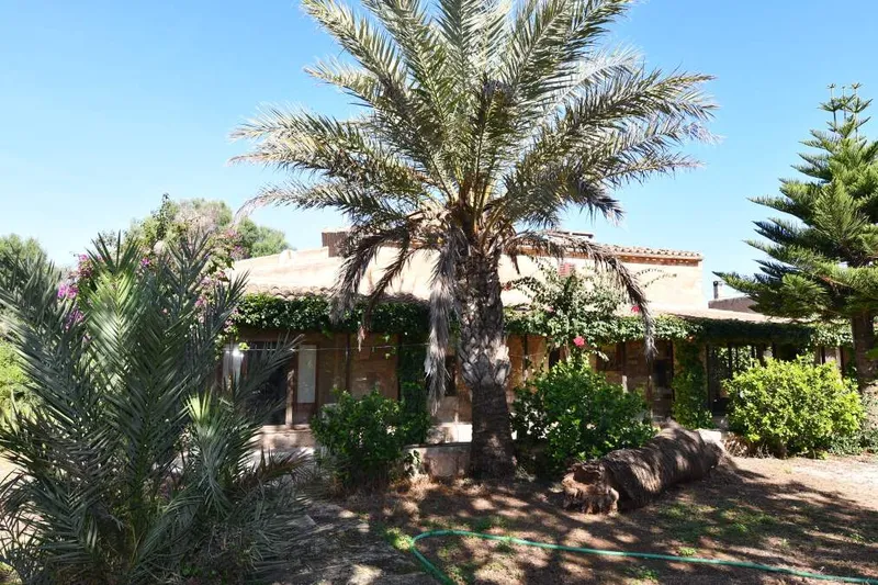 Country house to reform about 500 meters from Santanyi — photo 3