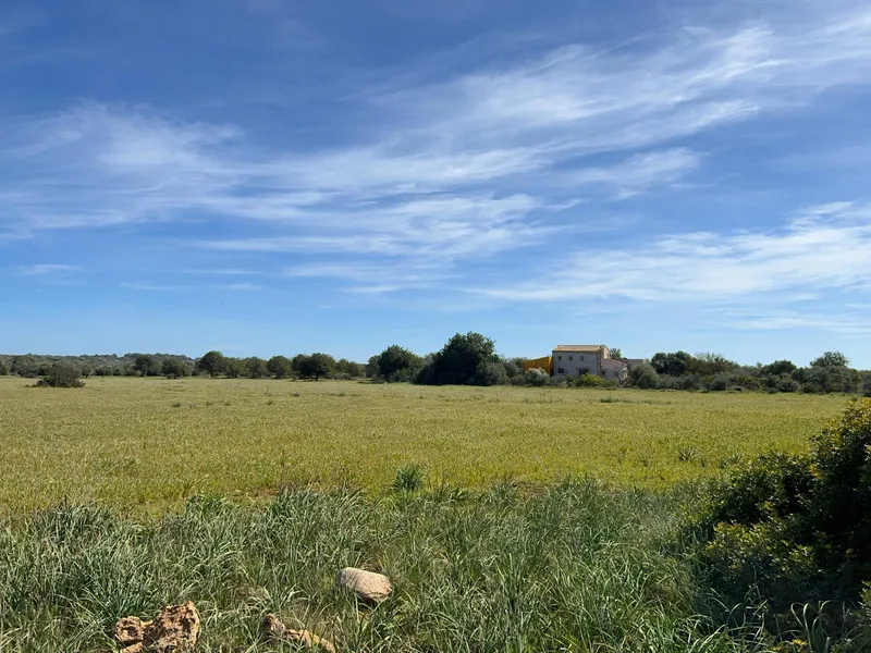 Plot in Ses Salines: The Perfect Place to Create Your Home in Mallorca — photo 12