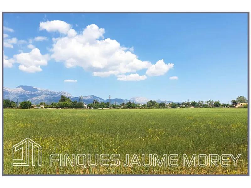 Land — photo 12