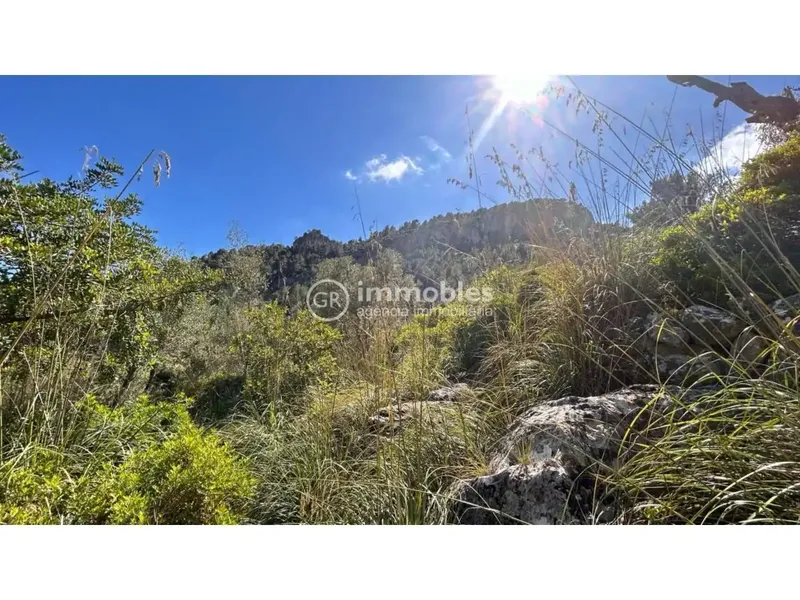 Rustic finca in Alaró of 22,600 m² in ANEI area — photo 7