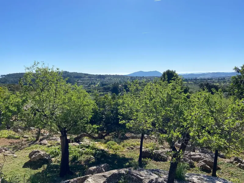Opportunity in Caimari: Life Project at the Foot of the Tramuntana — photo 12