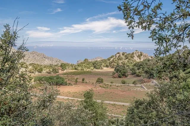 Villa for sale in Escorca, Mallorca — photo 4