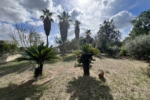 Villa in Costitx, Mallorca — photo 12