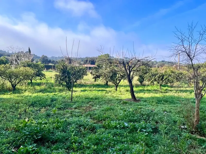 Rustic finca in Campanet, a corner of tranquility in the heart of the island. — photo 10