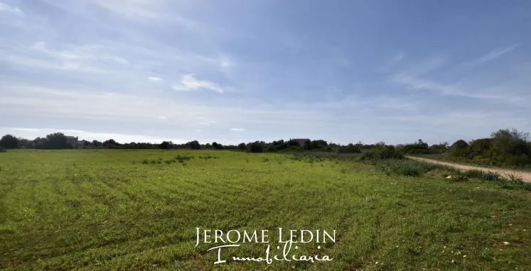Nice building plot Ses Salines — photo 2