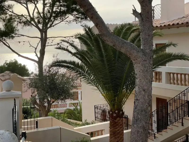 Apartamento en planta baja situado en una cuidada y tranquila comunidad de Puerto Andratx, uno de los enclaves más apreciados de Mallorca po — photo 3