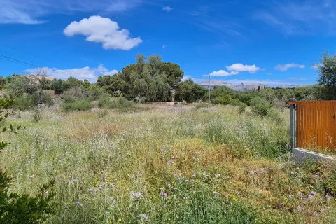 Finca in Buger, Mallorca — photo 9