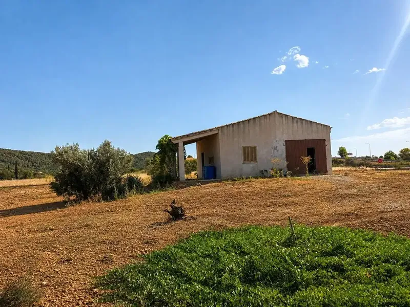 Agricultural estate near Campanet in a privileged natural setting — photo 8