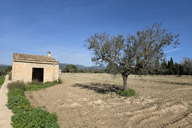 Plot with small house — photo 2
