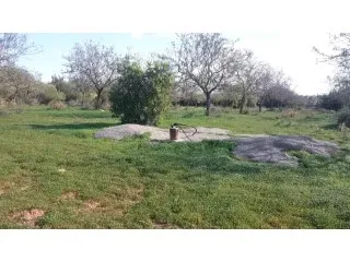 Fantastic building plot with panoramic views to Cabrera! Terreno — photo 3