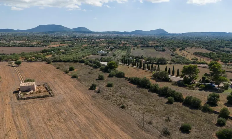 Rustic plot in Algaida — photo 3
