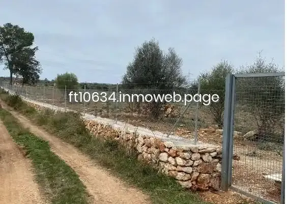 Only 3 km from the village of Sineu, we have this finca completely enclosed by Mallorcan dry stone wall and with a gate. Buildable land — photo 5