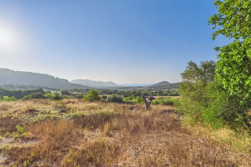 Charming rustic finca between Artà and Son Servera — photo 7