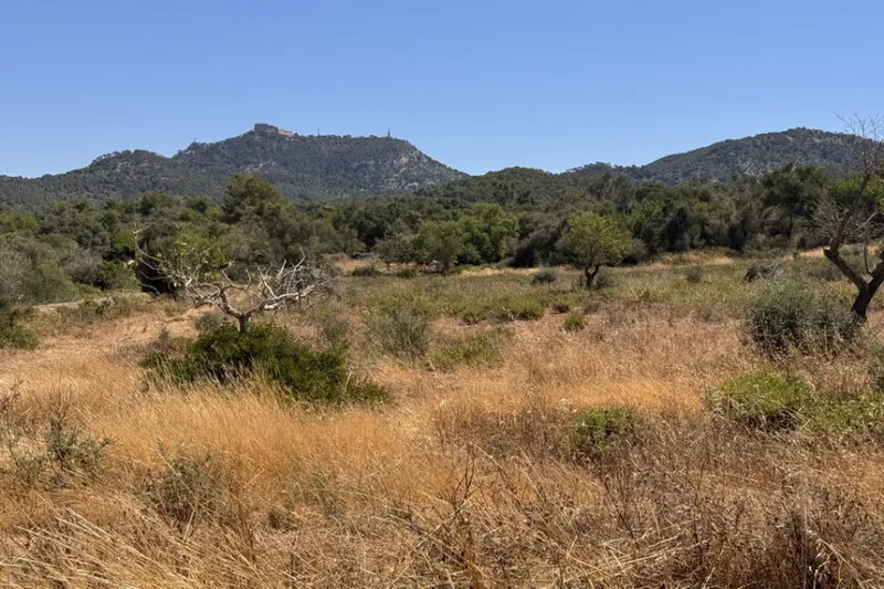 Dream plot with basic project and mountain views near Es Carritxo — T 20 — photo 3