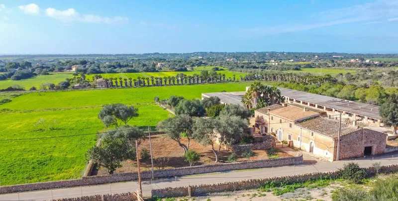 Charming rustic finca with great renovation potential in Ses Salines πΏ β photo 1