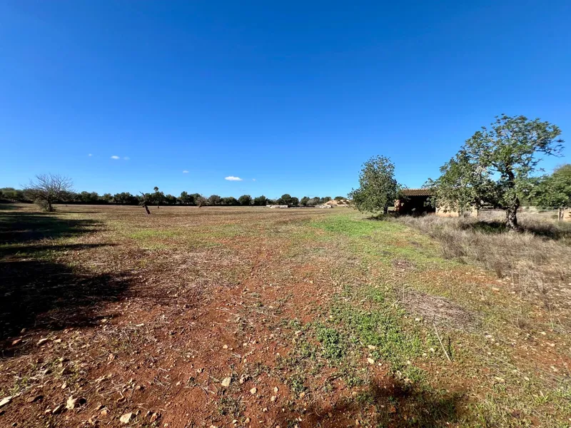 Spacious Plot in Campos with Project and Foundations Completed — photo 7