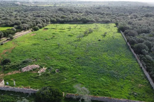 Ses Salines, Premium building plot in a top location in Ses Salines - including approved building project and building permit for a finca with views as far as Cabrera — photo 3
