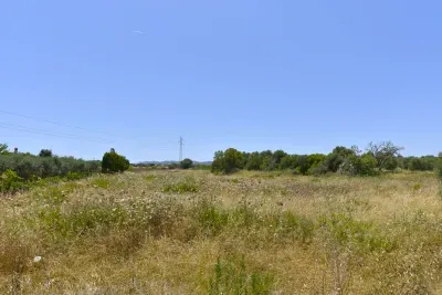 Terrain in Manacor — photo 1