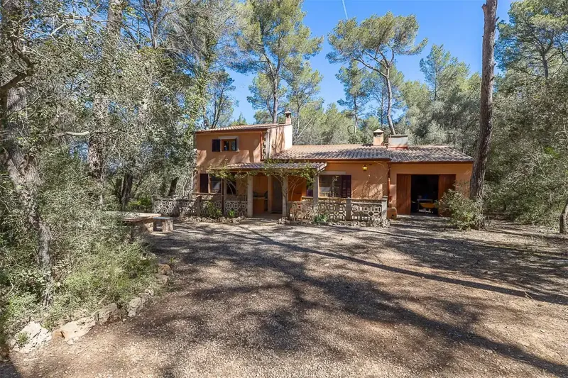 Sumérgete en la tranquilidad de nuestra finca, un refugio rodeado de bosque donde la paz y la desconexión están garantizadas. Aquí podrás di — photo 6