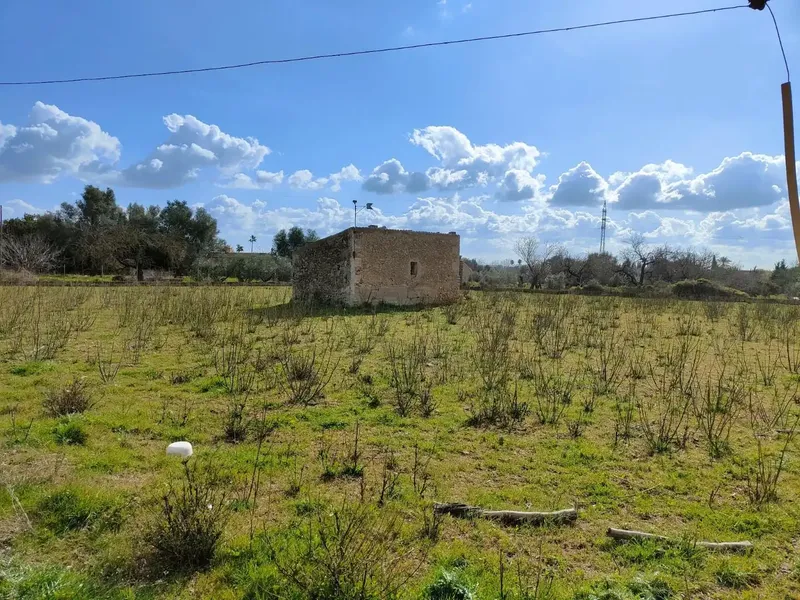 Excellent estate in Búger, to be fully renovated, with a main two-story house with fireplace. Porch with barbecue, a stone house for — photo 6