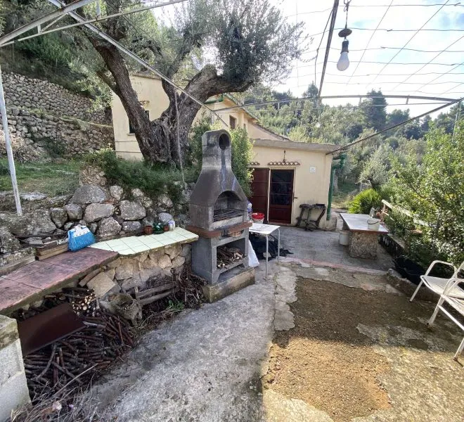 Discounted – Beautiful olive grove situated in Mirador de Ses Barques — photo 1