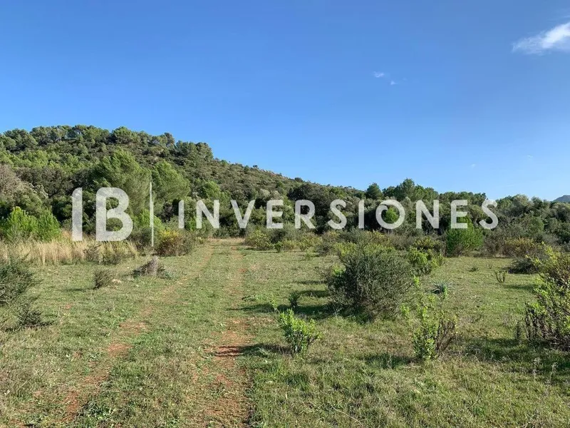 Land in Capdepera, Province of Balearic Islands — photo 5