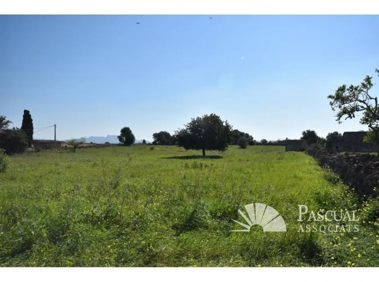 Finca with sea views and approved project in Santa Margalida — photo 11