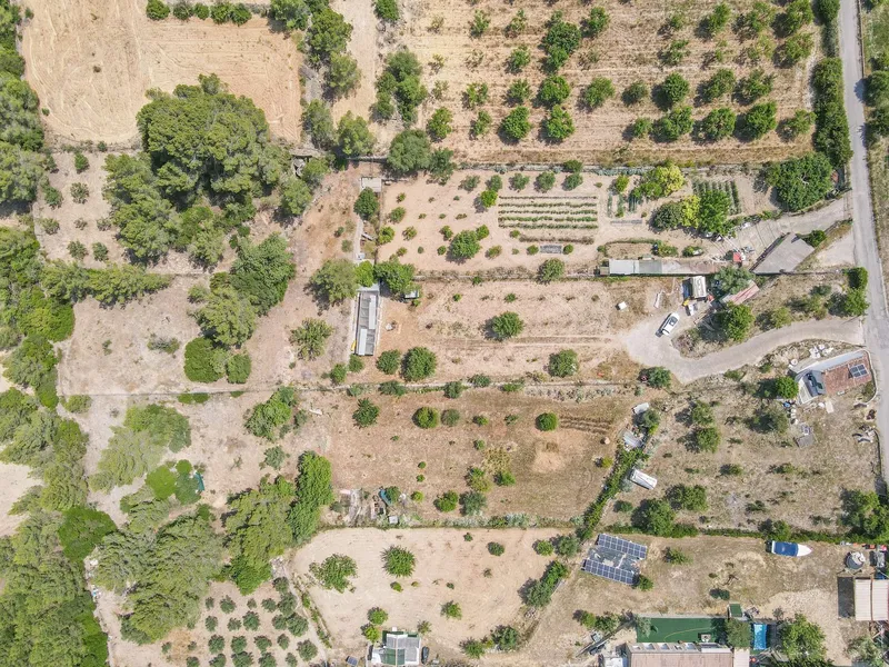 Quiet agricultural property in Calvià - 3,500 m² of nature, privacy and rural charm — photo 4