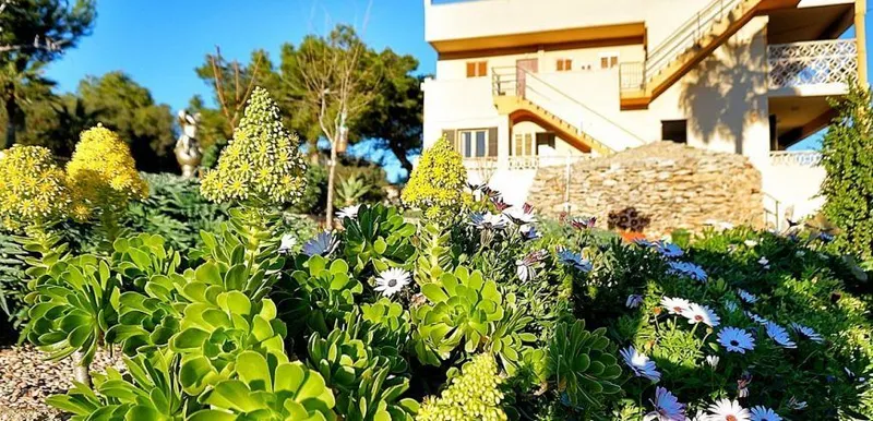 Apartment with sea views for rent in Cala Llombards — photo 3