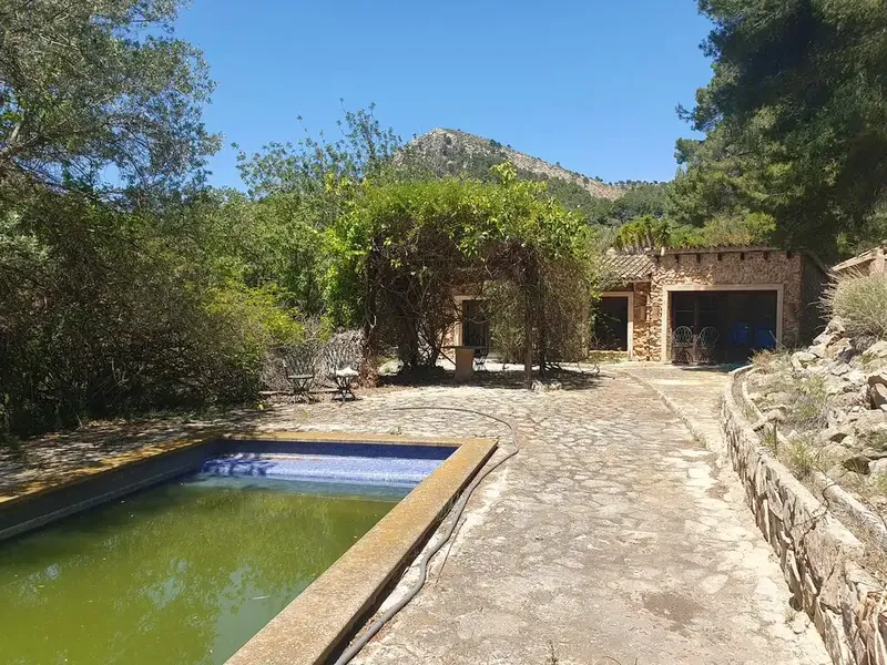 Investment opportunity: a traditional finca on a large private plot surrounded by beautiful views in the rural area of Andratx — photo 8