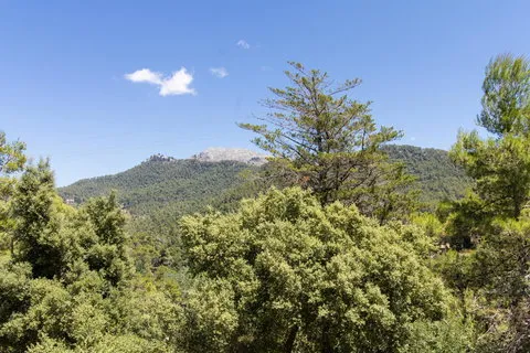 Villa in Lluc, Mallorca — photo 8