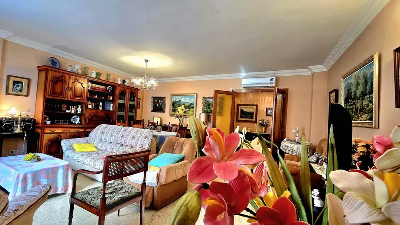 Large, affordable apartment in a good location in Palma — photo 5