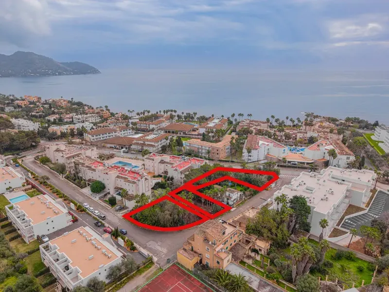 Land in Son Servera, Mallorca — photo 4