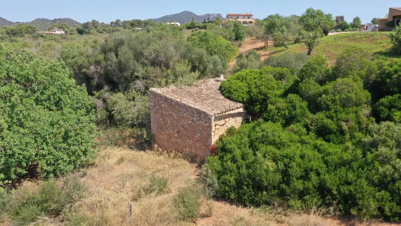 Nice plot with building license of about 330m2 in the area of Es Pujol in Alqueria Blanca — photo 5