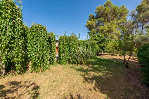 Esporles, sensational finca with pool and wonderful outdoor area in Esporles — photo 4