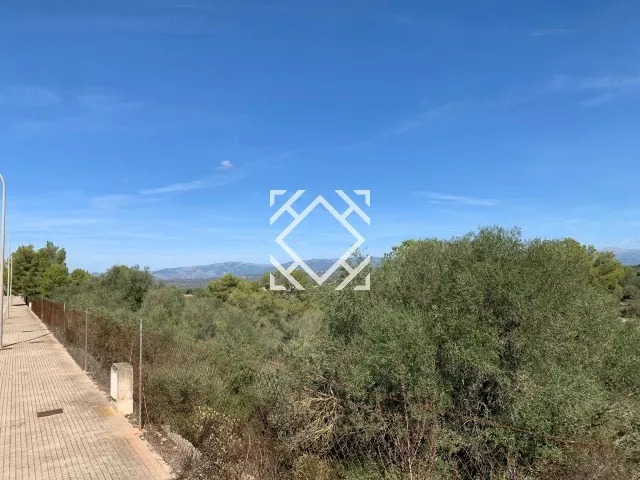 Rustic plots for sale in urbanization of Son Gual near Palma, Mallorca — photo 1