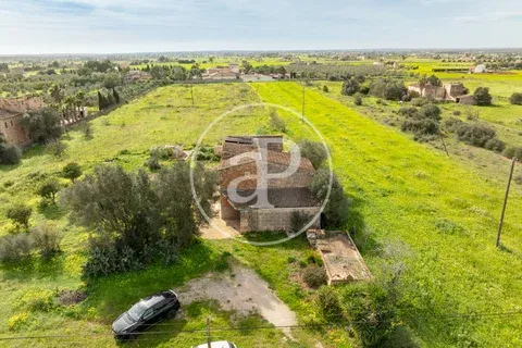 Farm house in Campos, Mallorca — photo 8