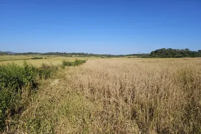 Buildable plot in Manacor — photo 2