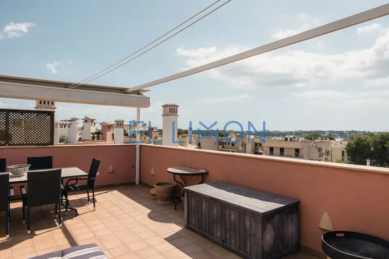 Apartment with wonderful terrace — photo 3