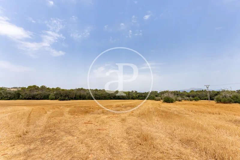 Exceptional Rustic Estate with Endless Possibilities for Sale in Sineu — photo 10