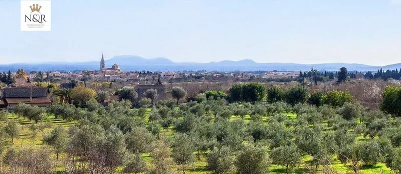 Rural or Farmhouse in Binissalem, Province of Balearic Islands — photo 11