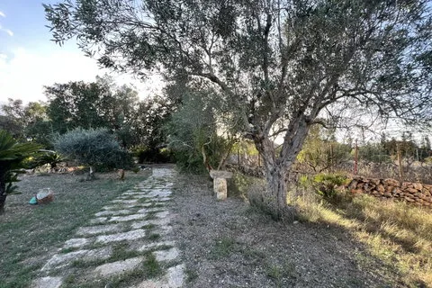 Villa in Costitx, Mallorca — photo 6