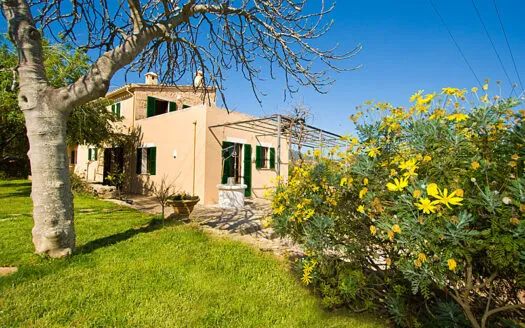 Cottage house in Establiments — photo 8