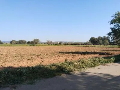 Rural Land - Campos, Plot Surface 2406m² — photo 4
